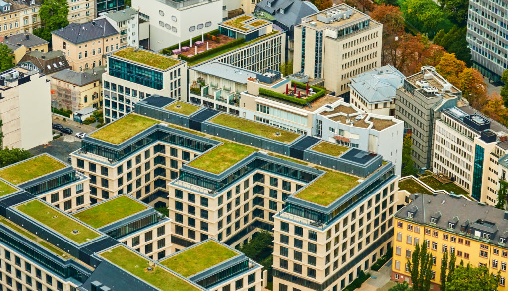 DO you know about IPP Green Roofs?